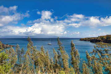Blue green ocean view of Honolua Bay on Maui.