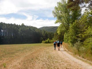 Obraz premium Path between the Verdon Gorges, France