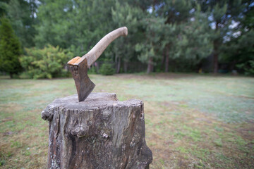 old axe