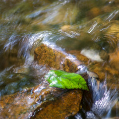 Long exposure of water spilling over colorful stones and a single green leaf in a woodland stream.