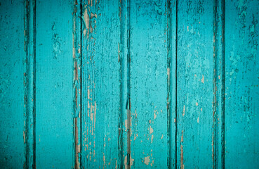 Old crackled teal turquoise painted wood surface. Vintage wooden wall or floor with cracked paint.