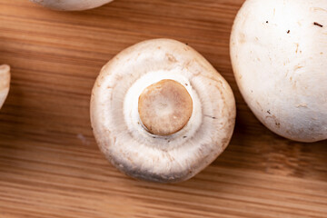 Macro shot of a slice of champignon mushroom.