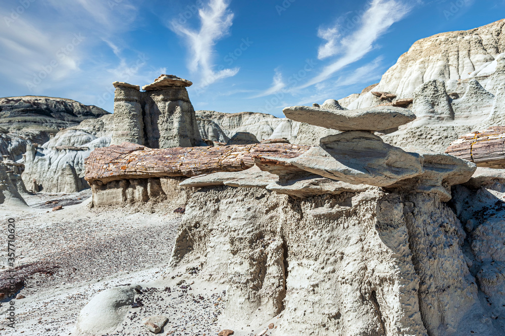 Canvas Prints Petrified Wood and Hoodoos Bisti Wilderness New Mexico