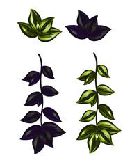 Sprig, sprout of green ivy, liana, vector bright drawing