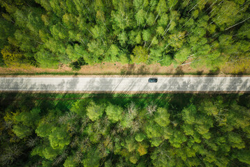 Road in green forest