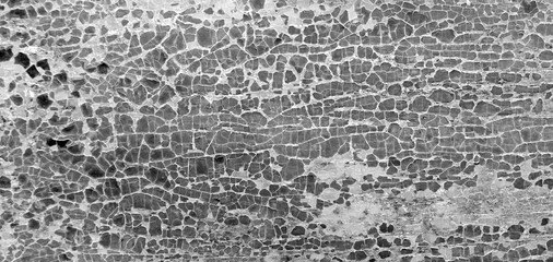 Old crackled black and white painted surface. Vintage wooden wall or floor with cracked paint.