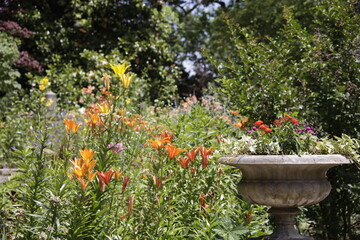water fountain in garden