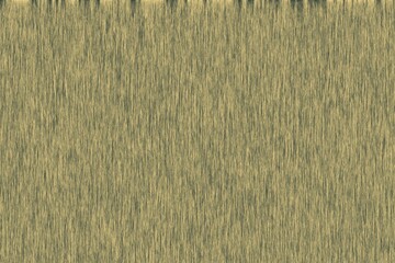 wood texture surface pattern background