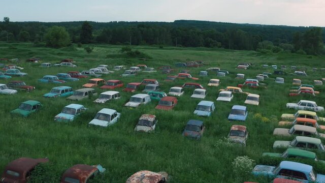 Aerial view of many old retro rusty abandoned cars in green field, vintage cars