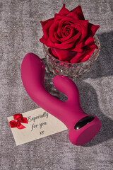 Gift of a Vibrator 