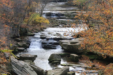 Flowing river in the autumn season 