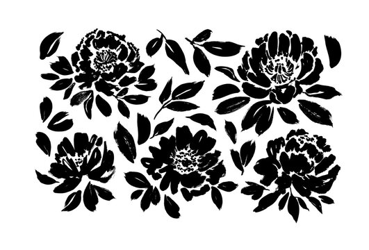 Roses, peonies, chrysanthemums hand drawn vector set. Black brush paint flower silhouettes with leaves.
