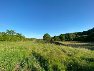 Obraz premium Landscape view of a large meadow, with wild flowers and trees in, Thornton, Bradford, UK