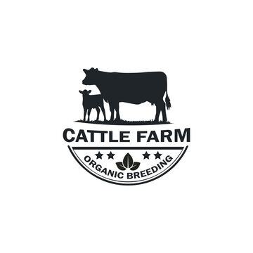 Vector inspiration for Vintage Cow / Beef farm logo design. Creative ideas of animal farm logos