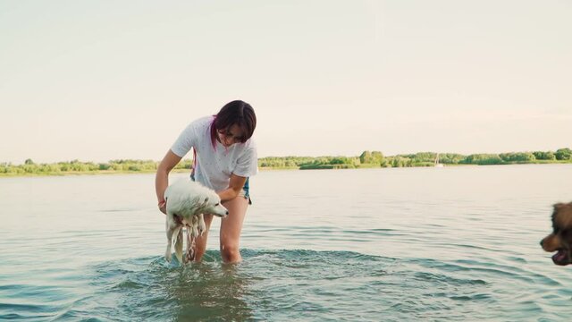 Young Beautiful Woman is Playing with Dog on a Lake in the Water. Happy Girl Play with Two Funny Puppy on the River Bank. Love for Pets. Slow motion