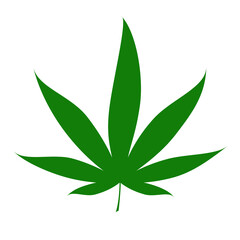green cannabis leafs on green fund