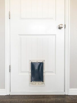 Close Up Of White Wooden Panelled Door With Small Pet Door At The Bottom