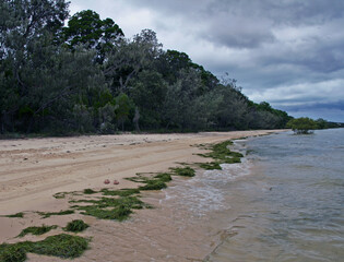 Seashore of Moreton Island