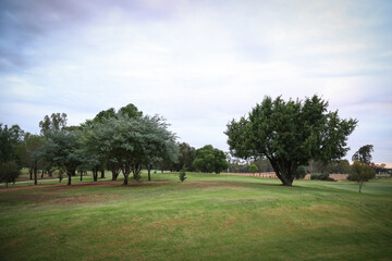 Sweeping greens of empty golf course