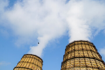 two soaring evaporators of the thermal power station, steam goes up during the calm, a crow flies...