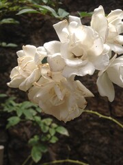 Le temps d'une photo