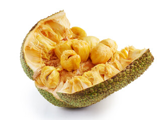 Cempedak or artocarpus interger isolated on white