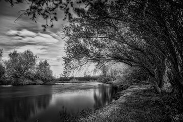 The Riverbank
