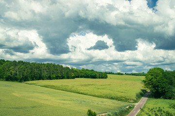 landscape with cloudy sky and green grass