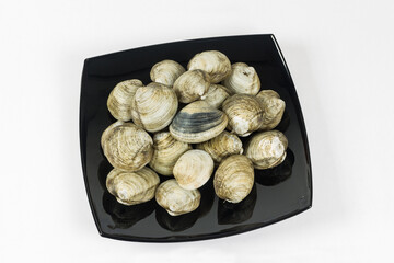 View of raw seashells that lie in a stylish black plate, cockles seafood