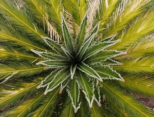 flourish even if the circumstances are not feasible