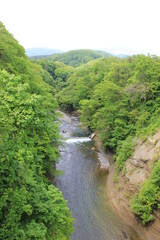 Fototapeta na wymiar 山の間を川が流れる風景