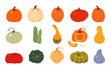 Autumn pumpkin flat set. Colored cartoon different shape orange gourd. Gather farm harvest, season crop capacity. Thanksgiving and Halloween element. Ripe vegetable squash Isolated vector illustration