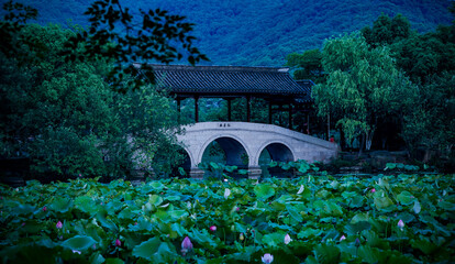 Fototapeta na wymiar There is a bridge in the middle of the calm lake