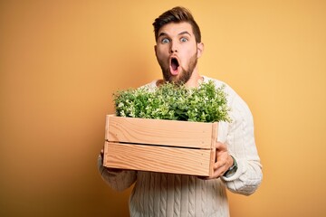 Young blond gardener man with beard and blue eyes holding wooden box with plants scared in shock...