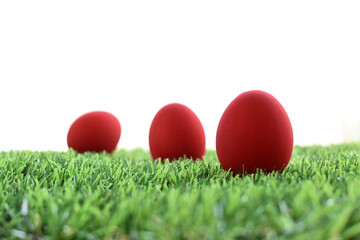 Fototapeta na wymiar red easter egg on lawn green grass artificial with blank white background