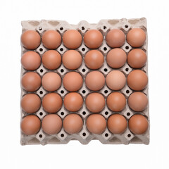 fresh organic egg in paper panel isolated on white background