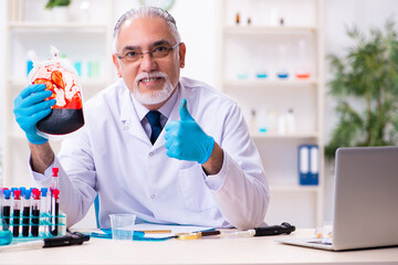 Old male chemist working in the lab