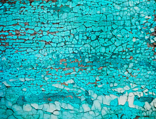 Old crackled teal turquoise painted wood surface. Vintage wooden wall or floor with cracked paint.