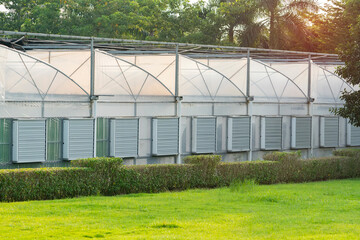 greenhouses glass seedlings of flowers and plants the nature of the greenery growing flora for planting.