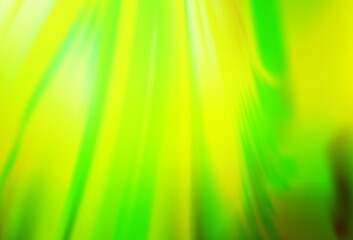Light Green, Yellow vector blurred shine abstract background.