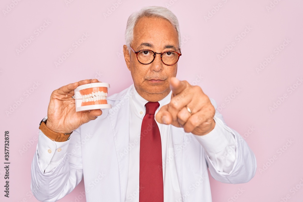 Sticker Middle age senior grey-haired dentist man holding prosthesis denture over pink background pointing with finger to the camera and to you, hand sign, positive and confident gesture from the front