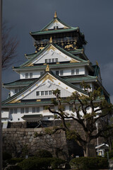 Fototapeta premium Japan