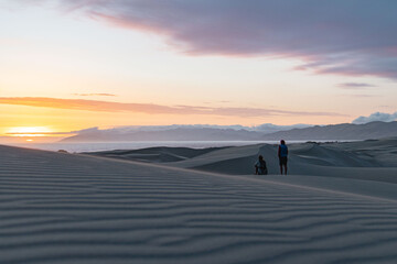Fototapeta na wymiar Rear view of people on sand dunes during sunset