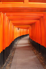 伏見稲荷 千本鳥居 Fushimi Inari Shrine one thousand tori-i gates