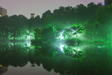 霧に包まれた井の頭恩賜公園