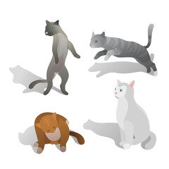 isometric cat in different poses