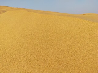 View of sandy dunes in gold color in Rajasthan