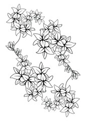 Flower Coloring Page. Flower Coloring Books. Beautiful Coloring Flower Page. Coloring Flower for Adults. Floral Coloring Pages.