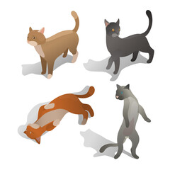 isometric cat set