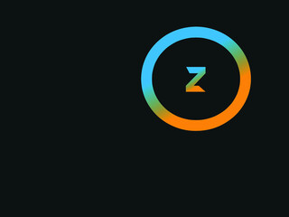 Capital letter Z vector image
